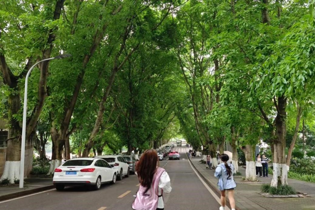 5月16日我院开展第十三届“筑梦启航”体育文化节定向越野竞赛圆满收官 原图2.jpg